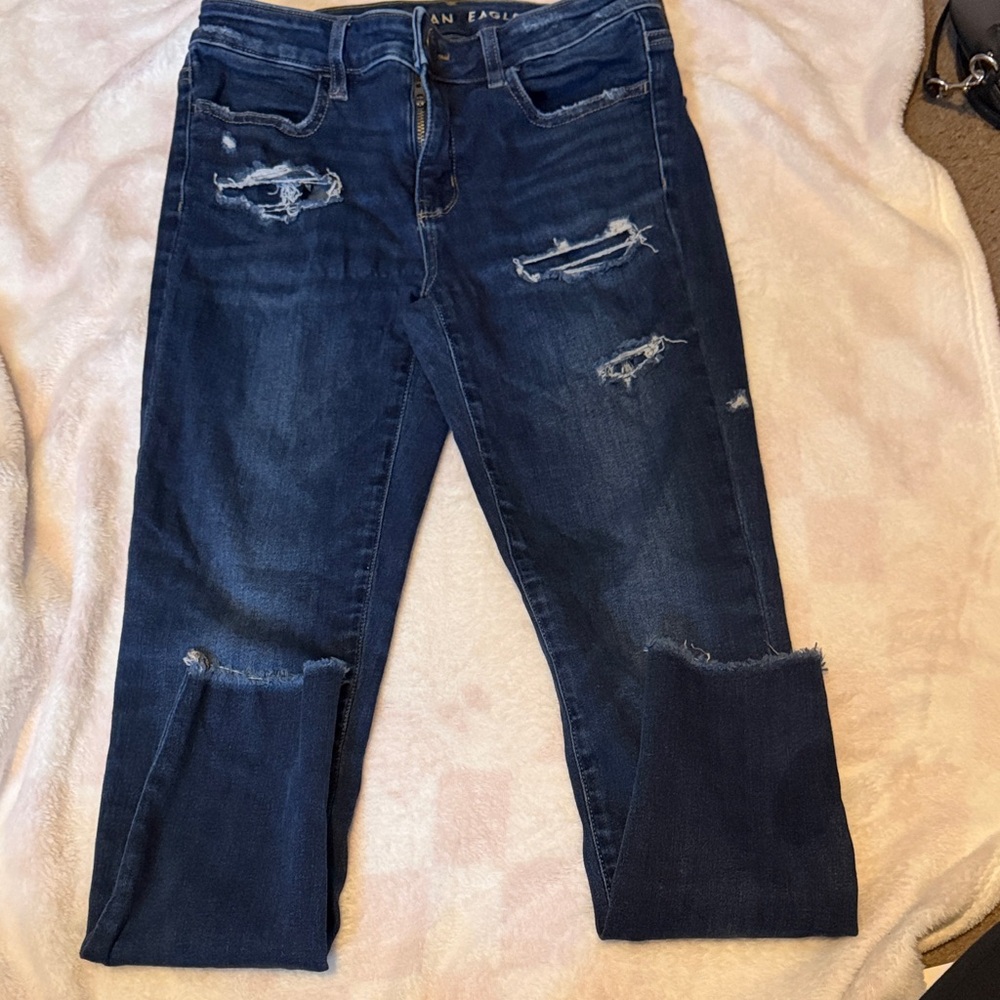 American Eagle Outfitters Navy Distressed Jegging Jeans
